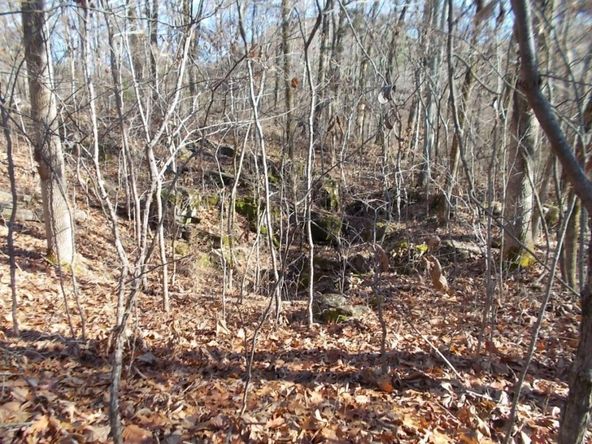 414 Doane Rd, New Market, TN 37820